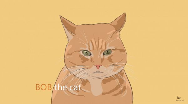 BOB the cat